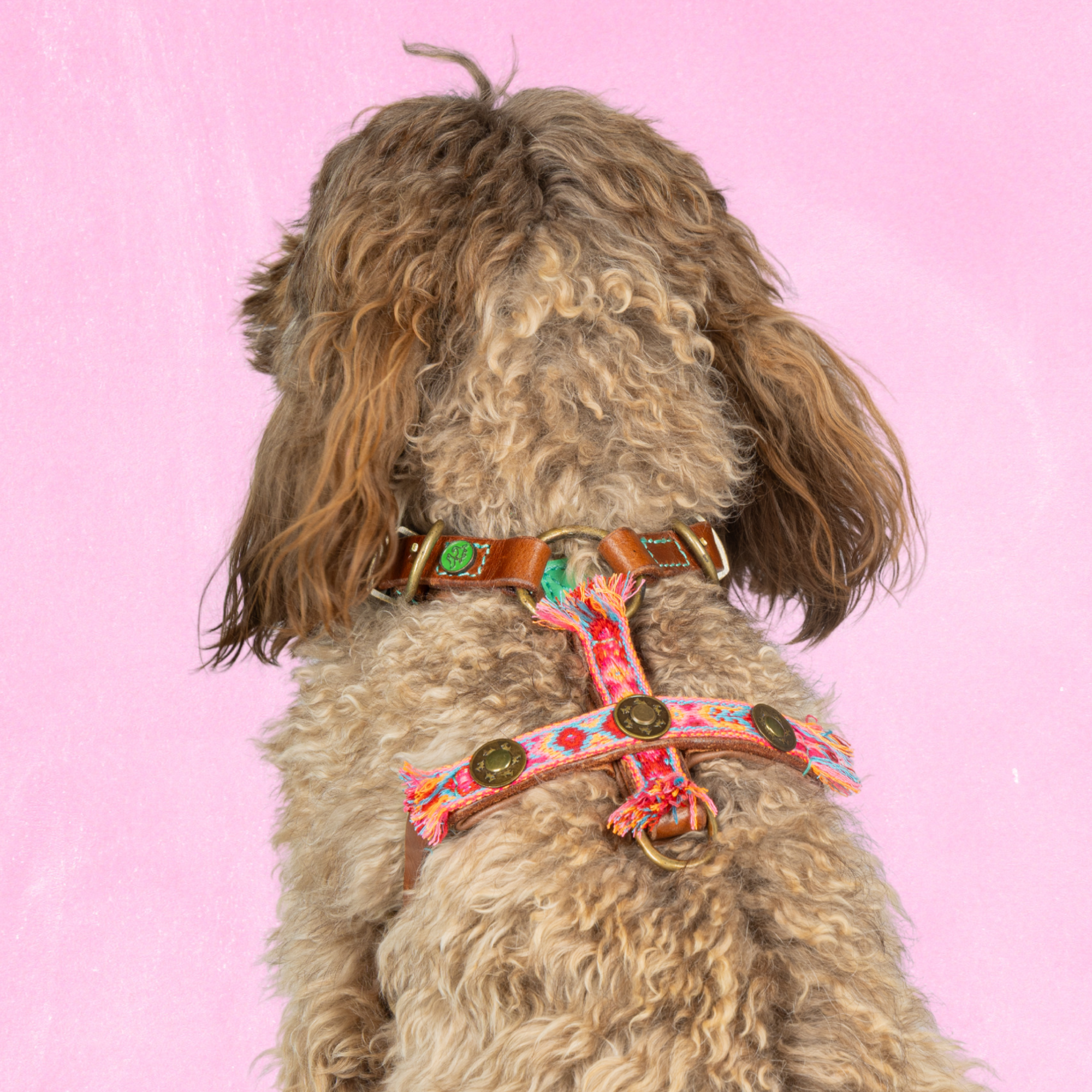 Leren hondentuigje in bruin met roze details van Dog with a Mission