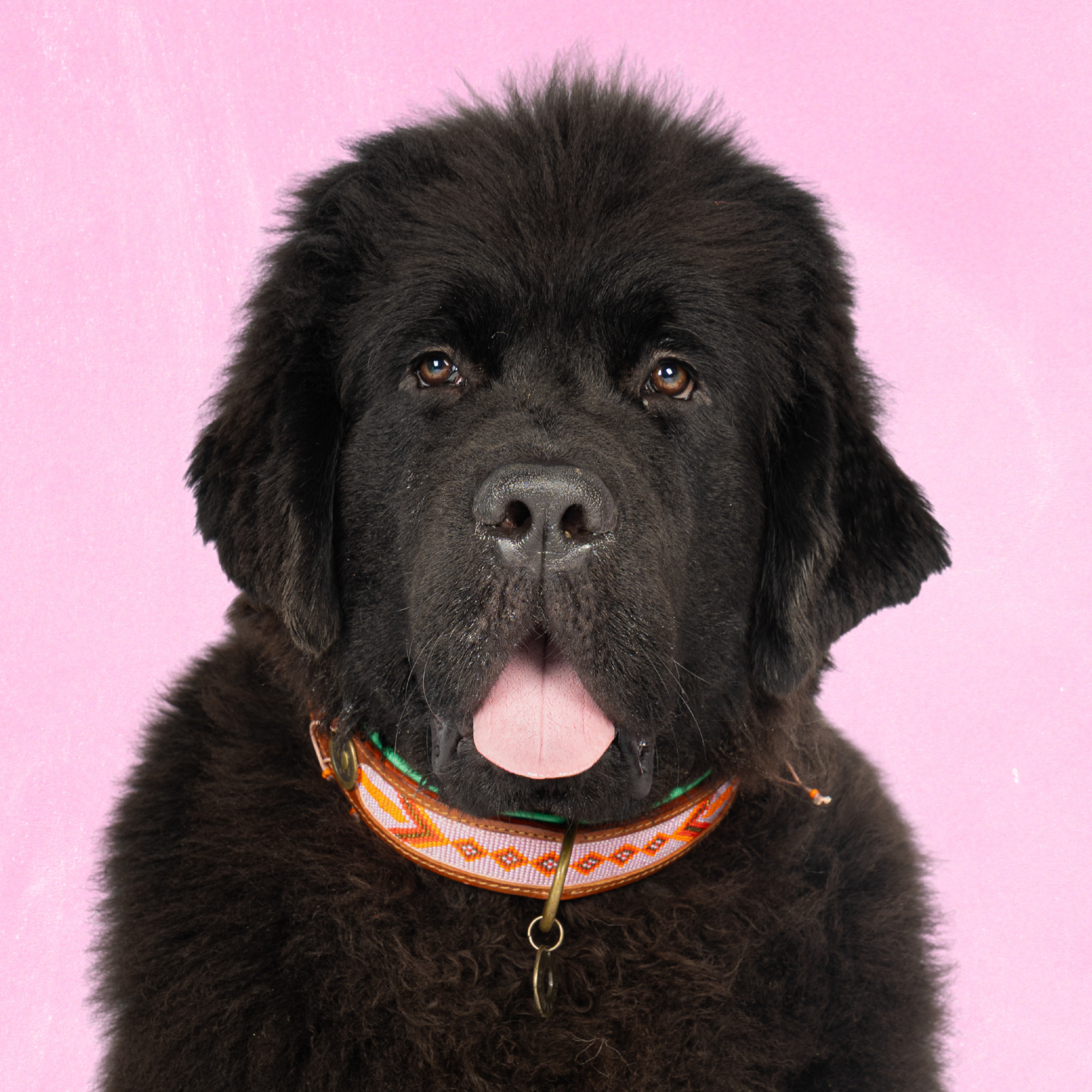 Leren hondenhalsband in roze met oranje kralen van Dog with a Mission