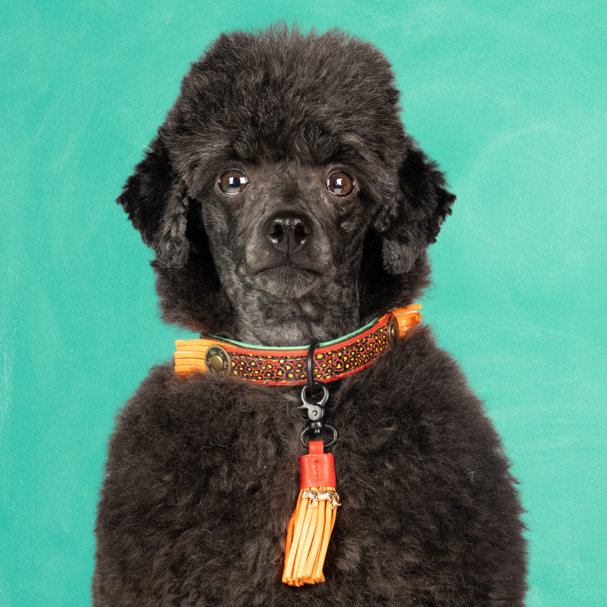 Leren hondenhalsband in rood met oranje details en oranje kwastje van Dog with a Mission