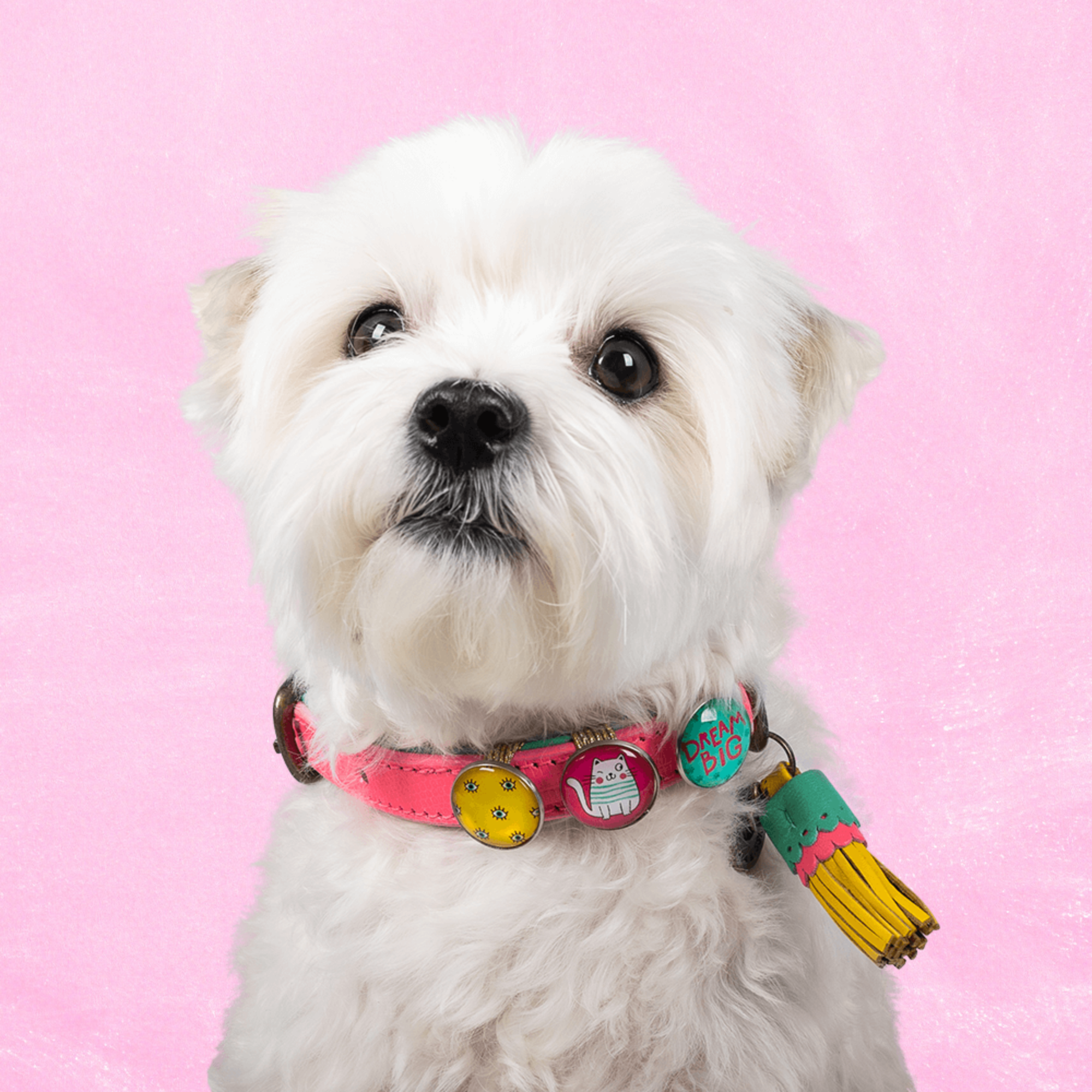 Leren hondenhalsband in roze met geel kwastje van Dog with a Mission