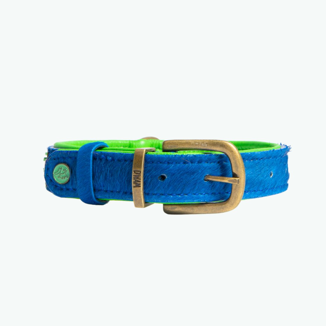 Close-up Zula hondenhalsband kobaltblauwe vacht met neongroene rand en DWAM gravering op bronzen gesp, bohemian stijl – luxe hondenhalsband DWAM Dog with a Mission