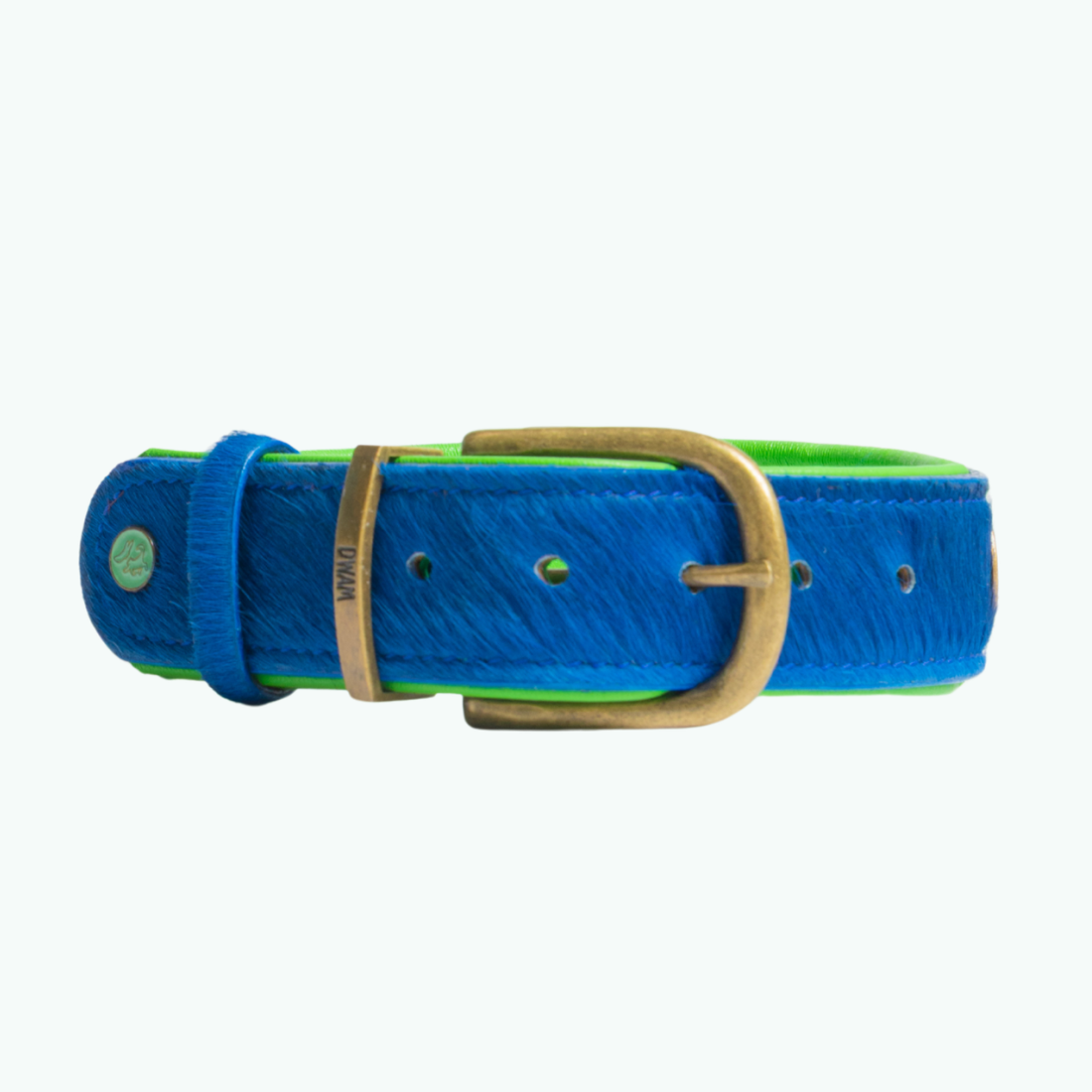 Achterkant van Zula hondenhalsband van blauwe vacht, bronzen gesp en neongroene leren voering, DWAM logo zichtbaar