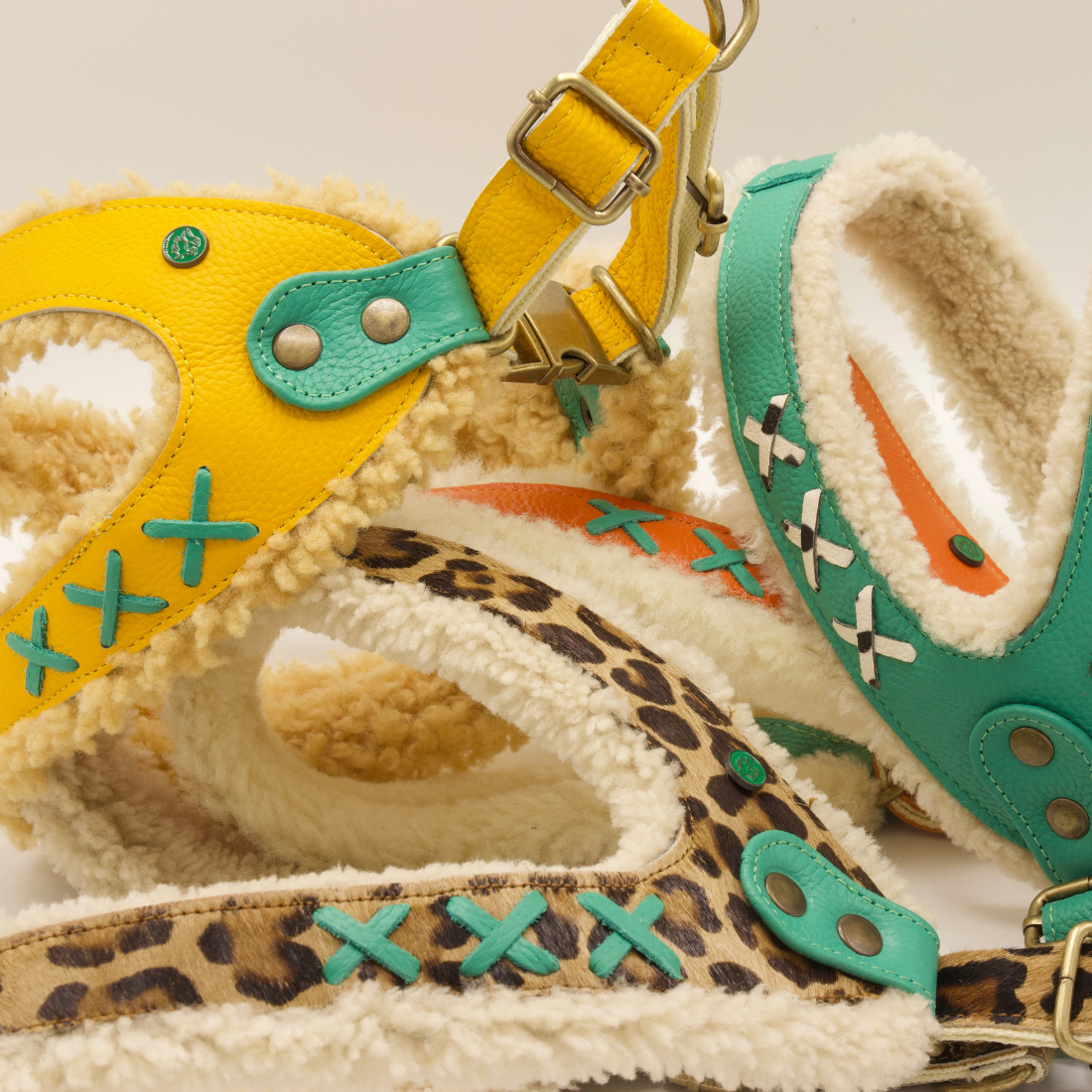 Amsterdam collection harnesses DWAM Dog with a Mission