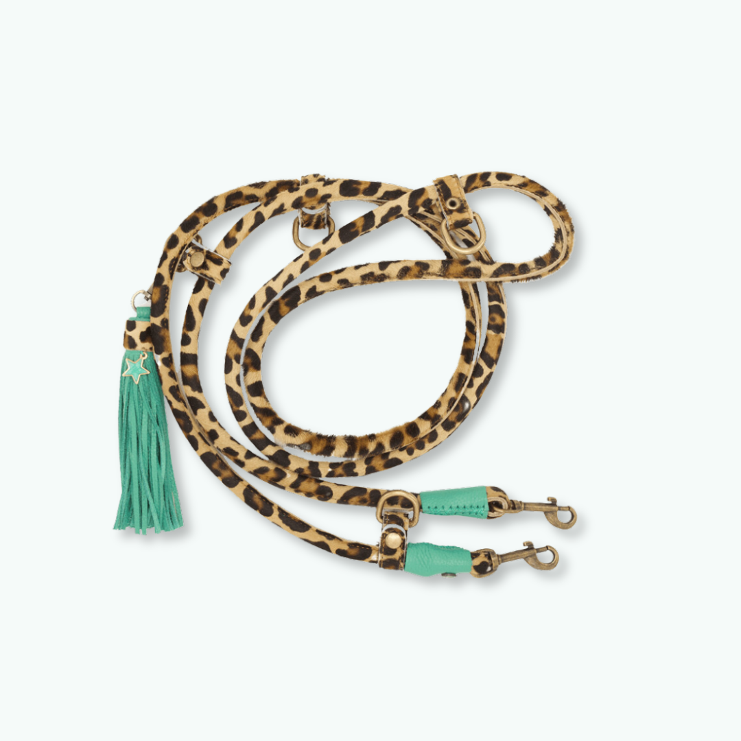 Amsterdam Hondenriem