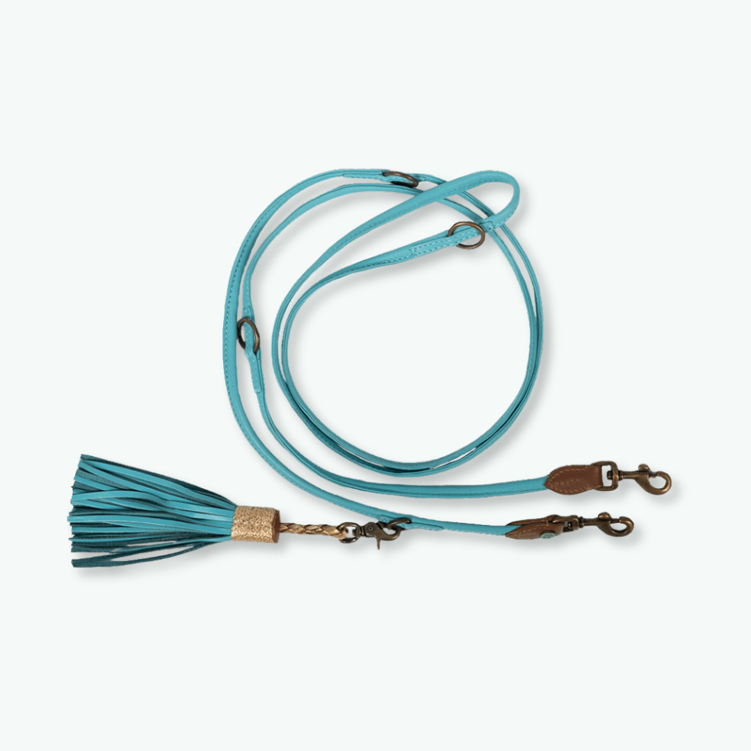 Aqua Blue Hondenriem