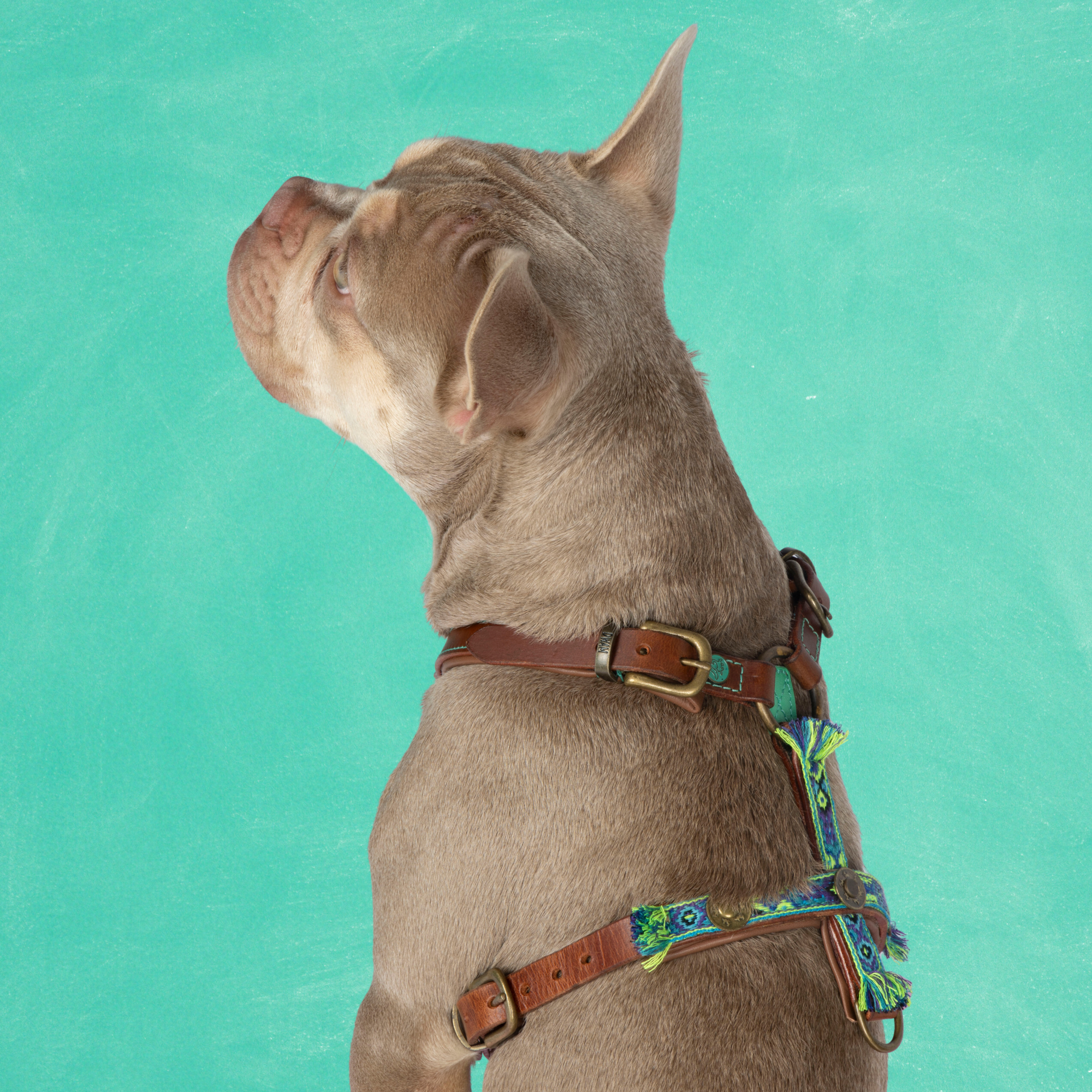 Boho Juan Tuigje XL (73,5-92 cm)