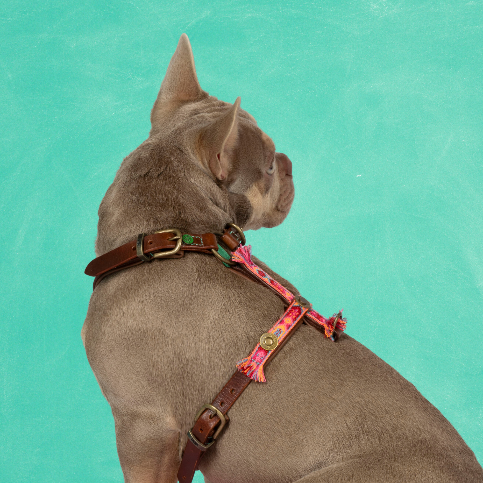 Boho Rosa Tuigje M (54,5-68 cm)