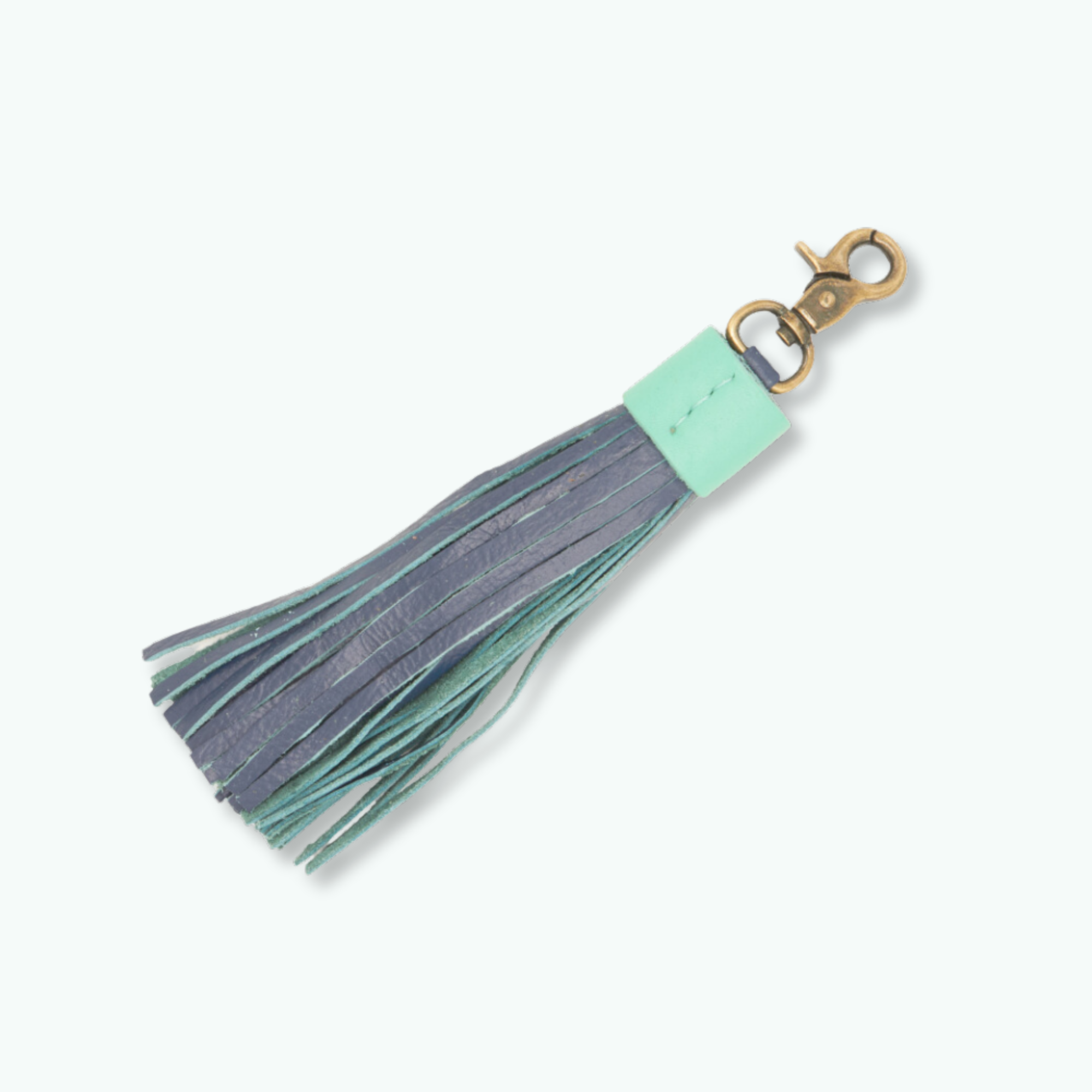 Buster Grote Kwast Hondenriem