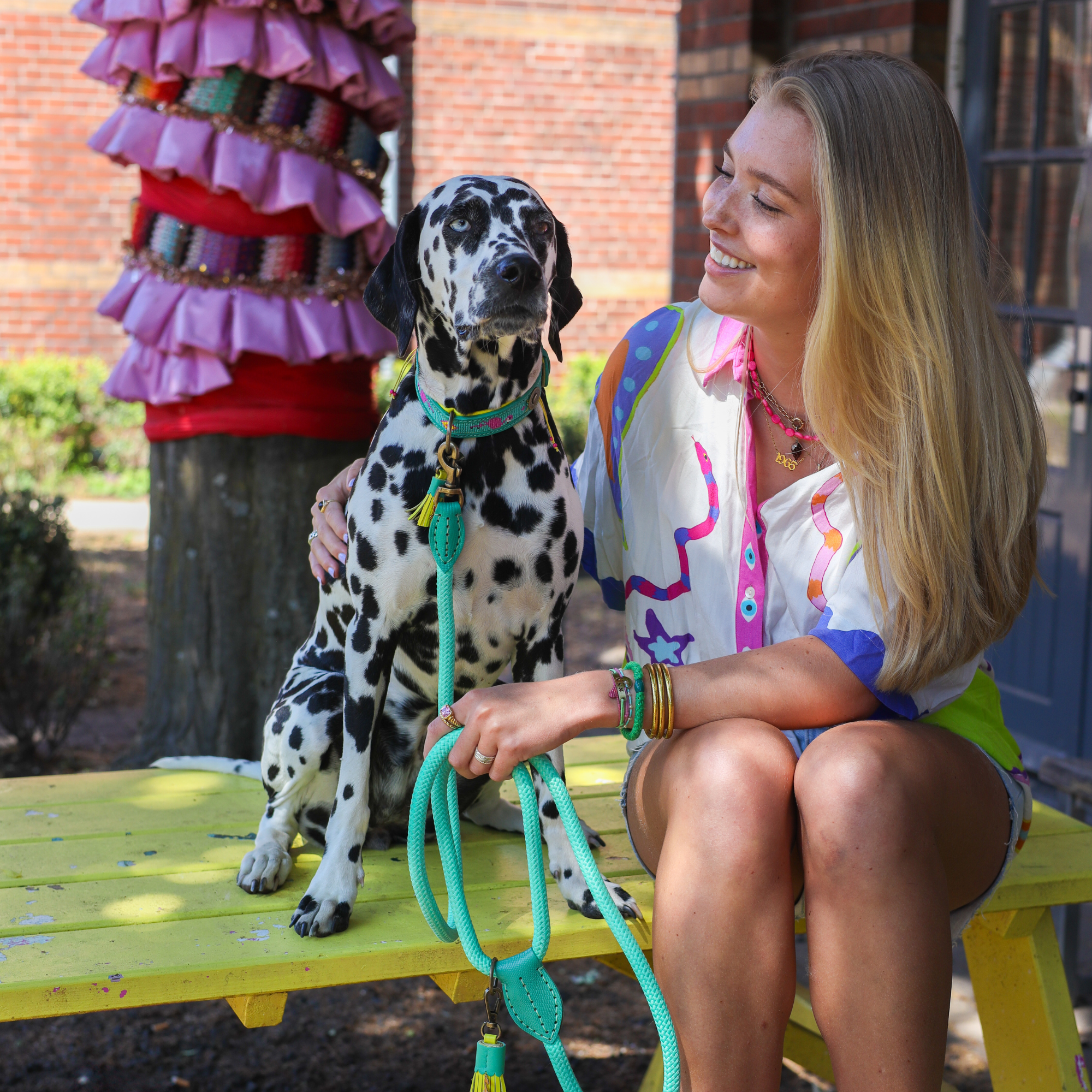 Chogogo halsband - hondenriem