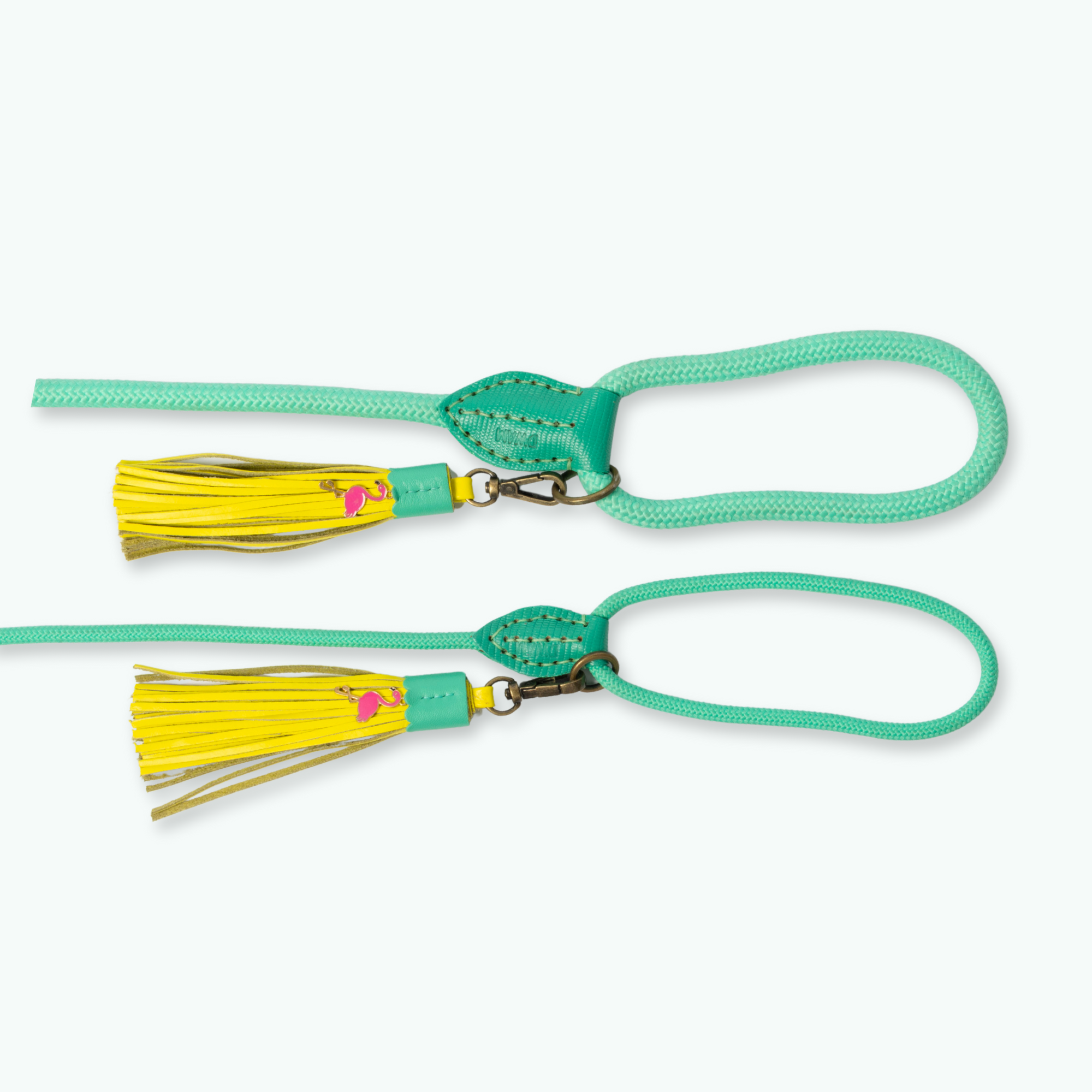 Chogogo_hondenriem_dog with a mission-DWAM