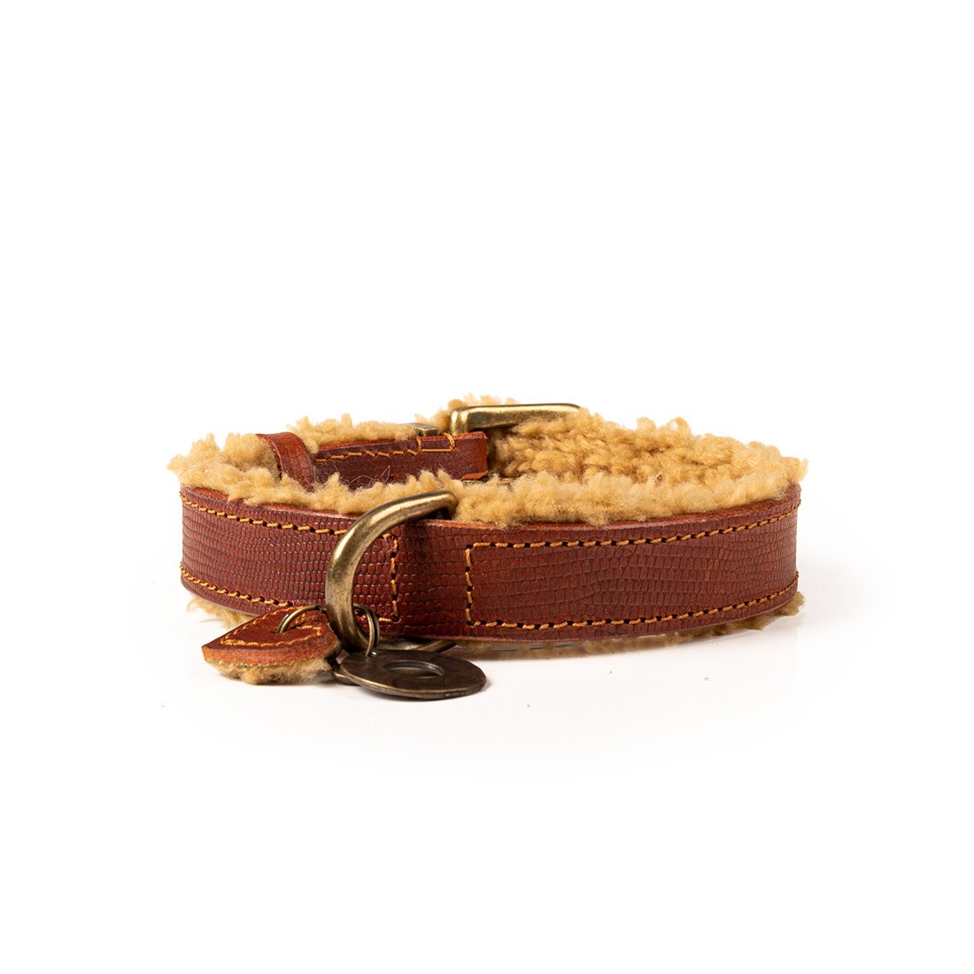 Collar-Comfort- Style-Dog- with- a- Mission