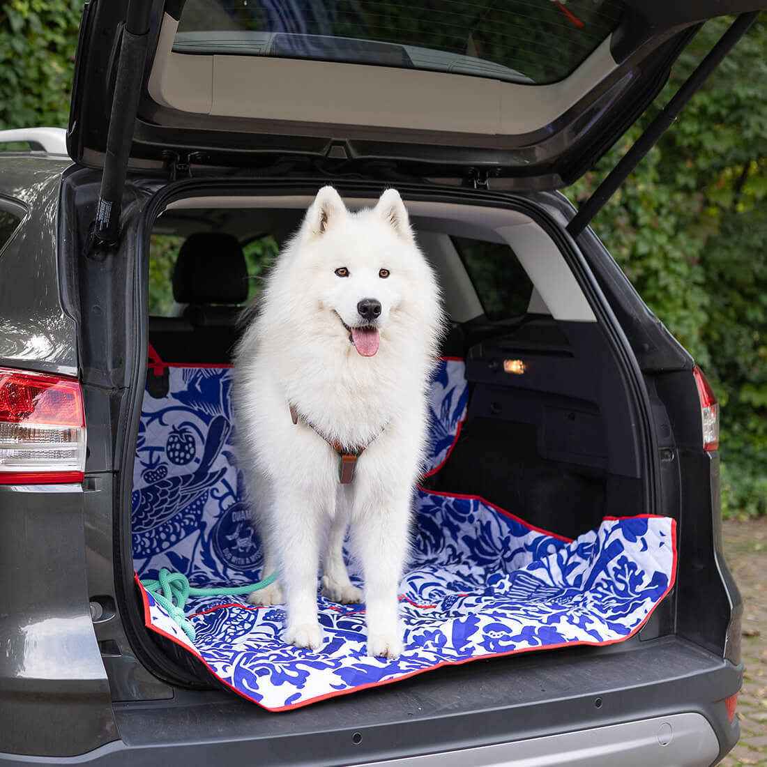 dog-with-a-mission-AUTOKLEED-CARCOVER-DUTCHIE-BOVEN2