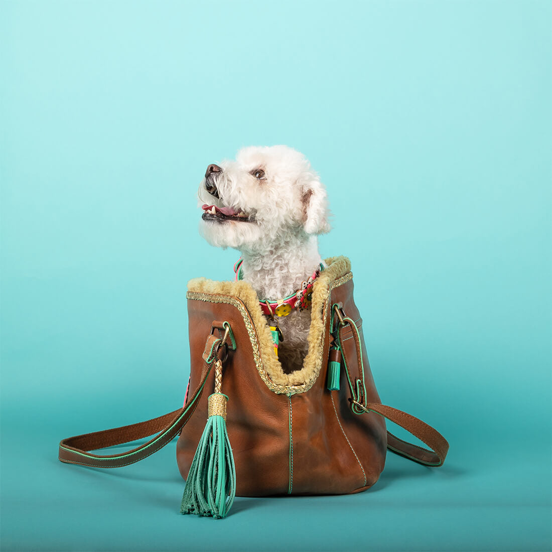 Dog-with-a-mission-BONITA-TAS-MET-HOND-hondentas-leer-zacht-bruin