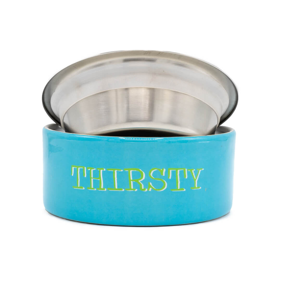 Dog-with-a-mission-Bowl-dog-blue-thirsty