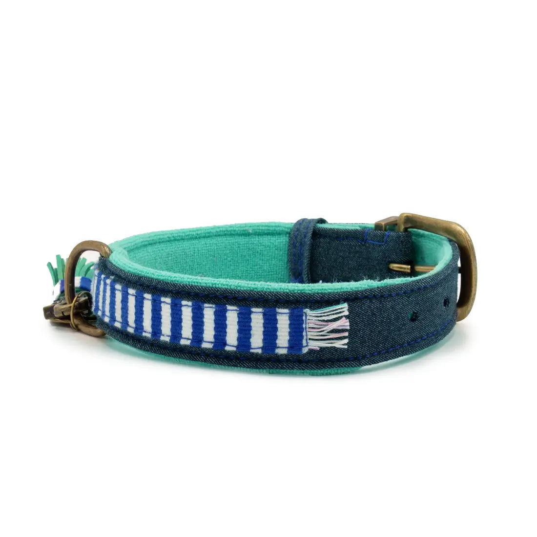 Dog-with-a-mission-collier-chien- blue-mrcruise