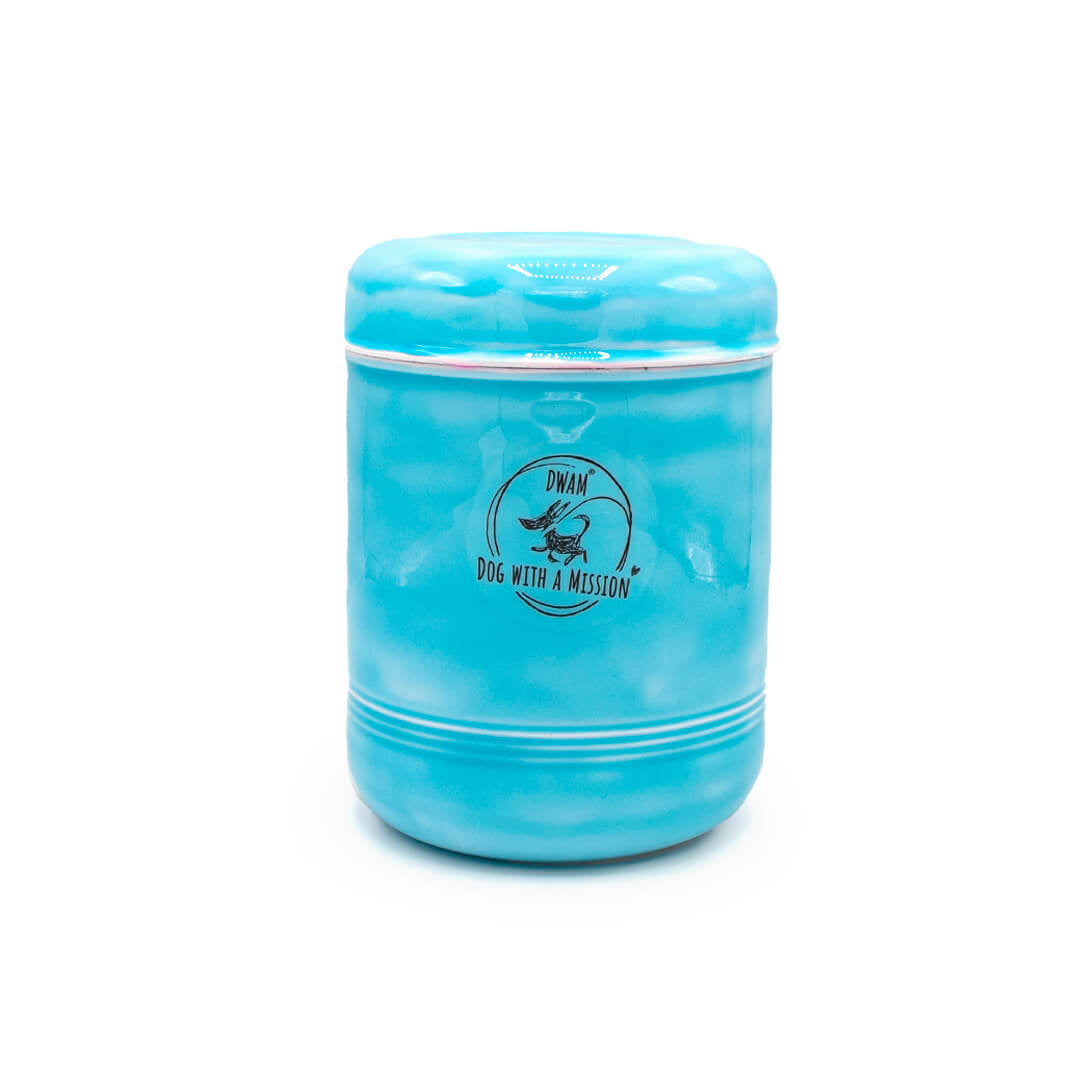 Dog-with-a-mission-Cookie-monster_cookie-jar-colorful