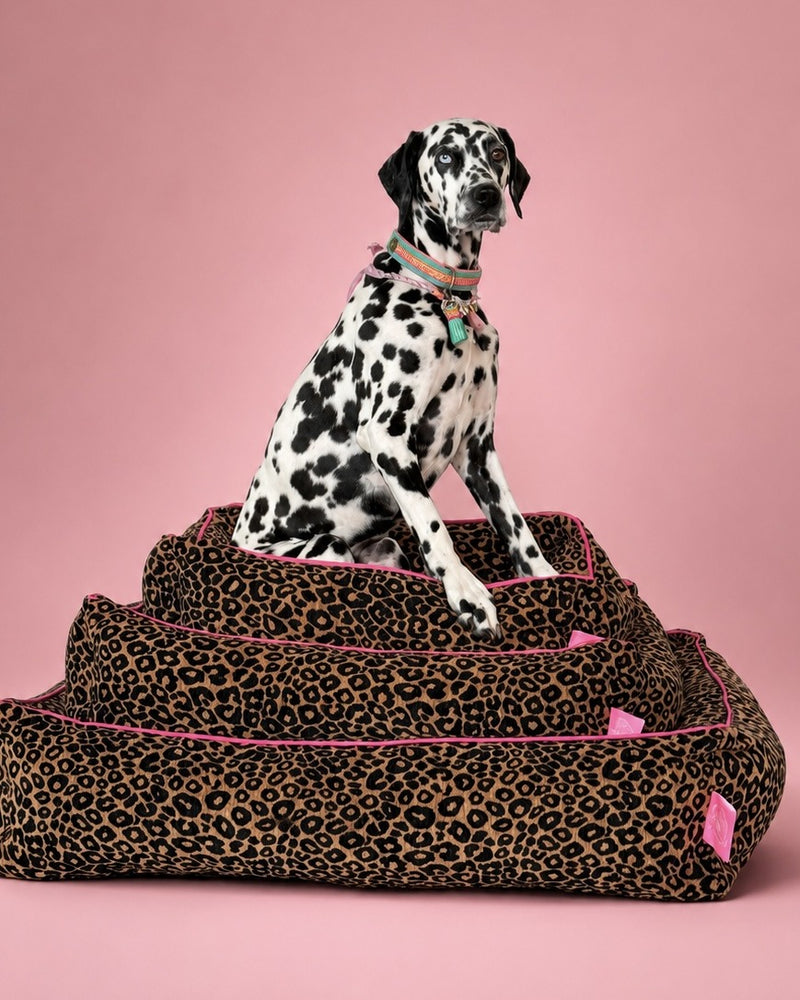 Lazy Leopard Hondenmand M (49x30cm / 74x57x17cm)