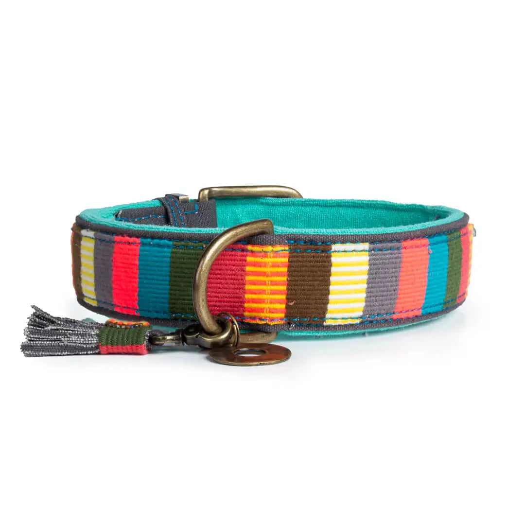 Dog-with-a-mission-Dog-collar-denim-colorful-mr-mrs-smith-L