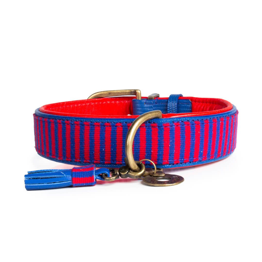 Dog-with-a-mission-Dog-collar-Leather-Cool-Mr-clooney