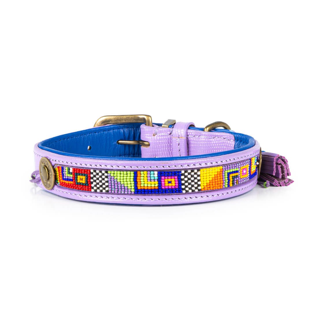 Dog-with-a-mission-Dog-collar-unique-beads-colorpop