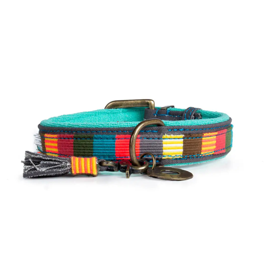 Dog-with-a-mission-Dog-collar-unique-mr-mrs-smith-m