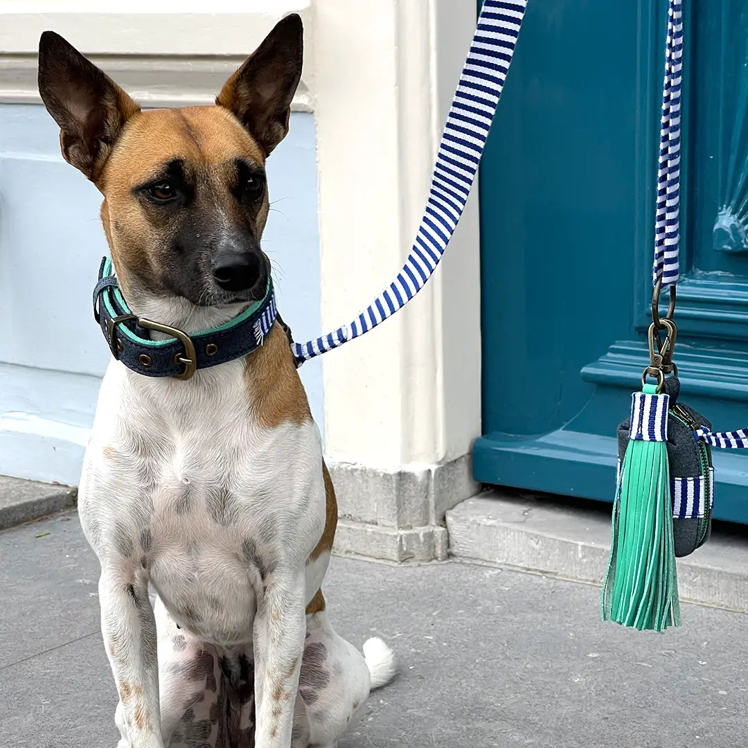 Dog-with-a-mission-dog-leash-coller-striped-cruise