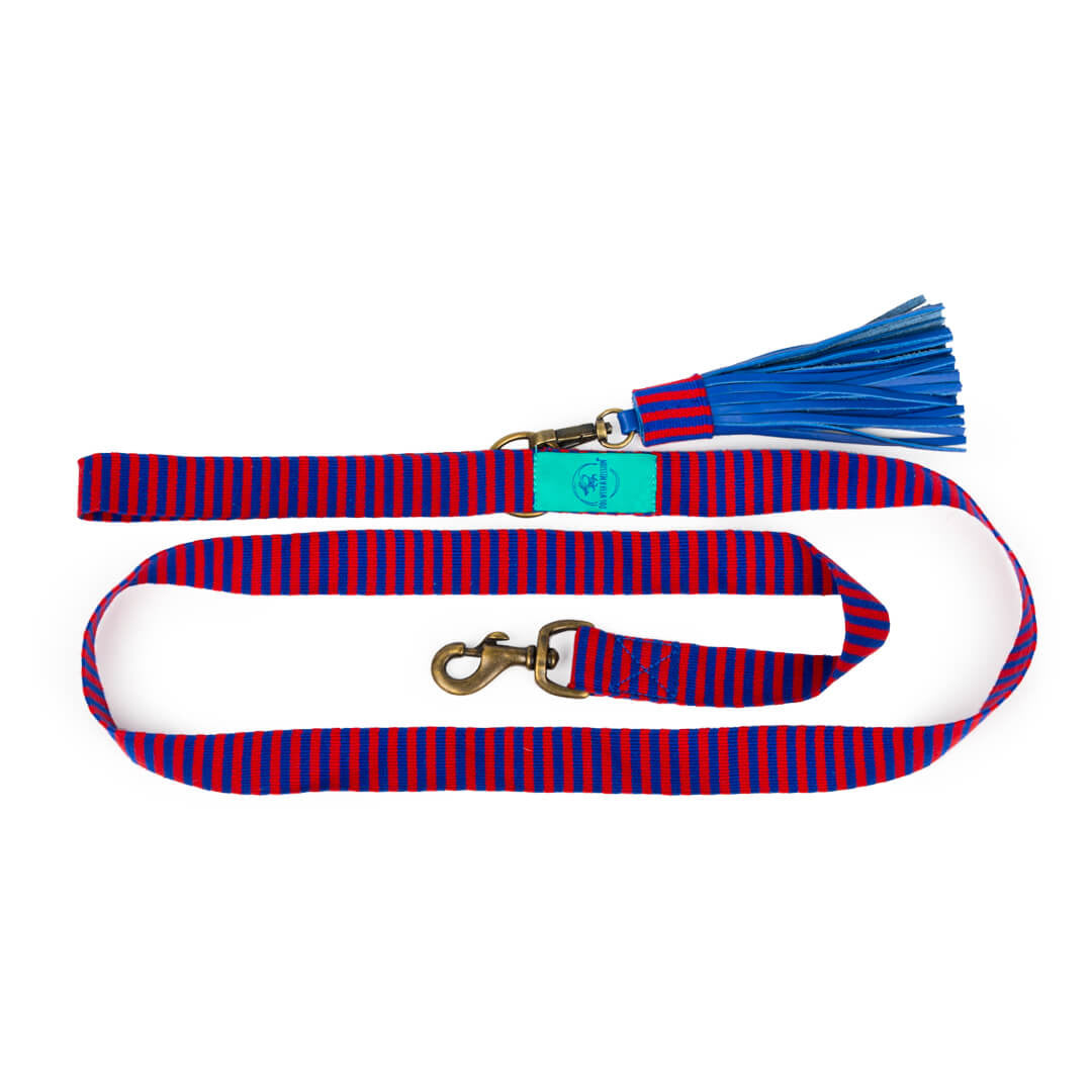 Dog-with-a-mission-Dog-leash-striped-blue-red-mr-clooney