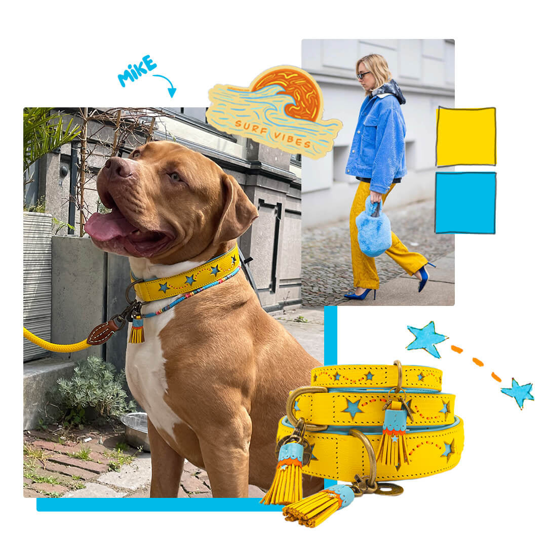 Dog-with-a-mission-dog-necklace-rainbow-fashion