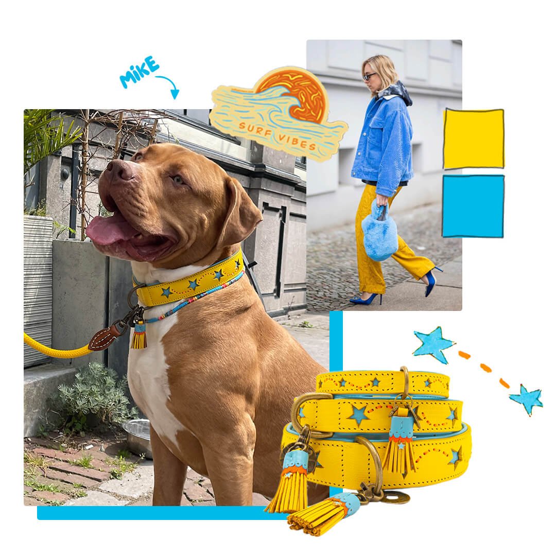 Dog-with-a-mission-dog-necklace-rainbow-fashion