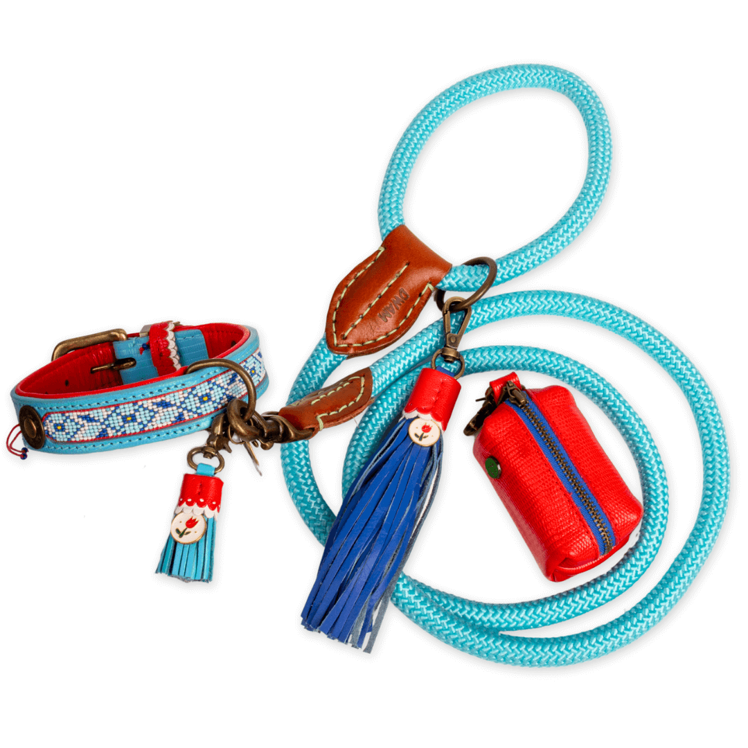Dog-with-a-mission-Dutchie-Holland-design-blue-dog