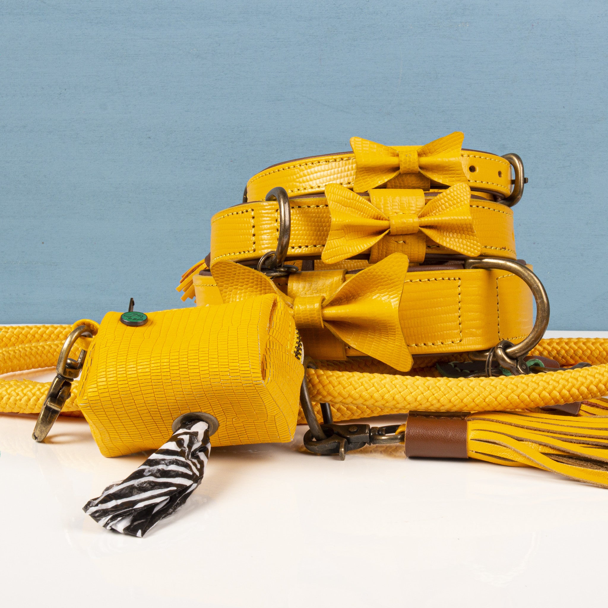 Dog-with-a-Mission_Gele-Touw-Hondenriem