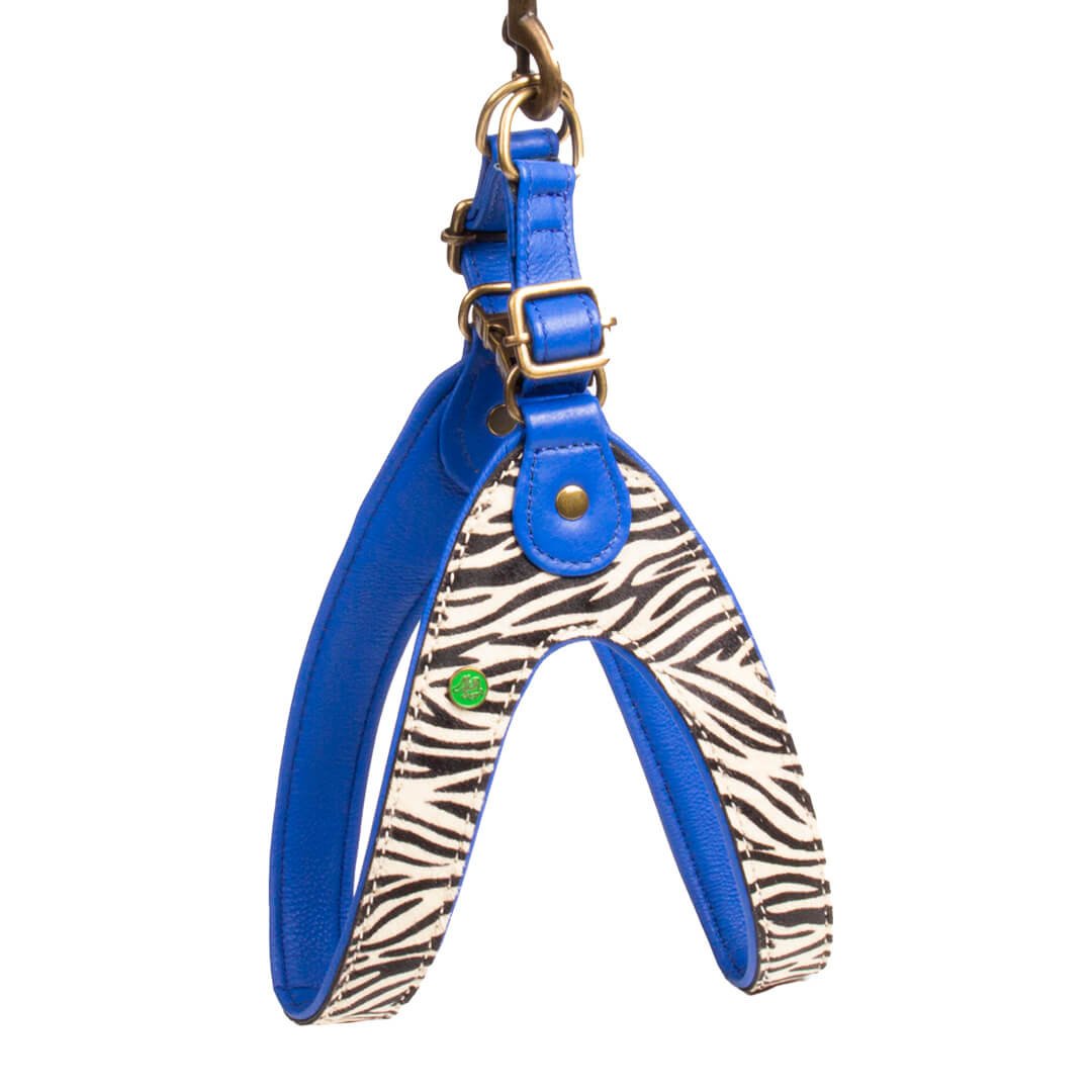 Dog-with-a-mission-harnais-chien-Imprimé-animal-dandy