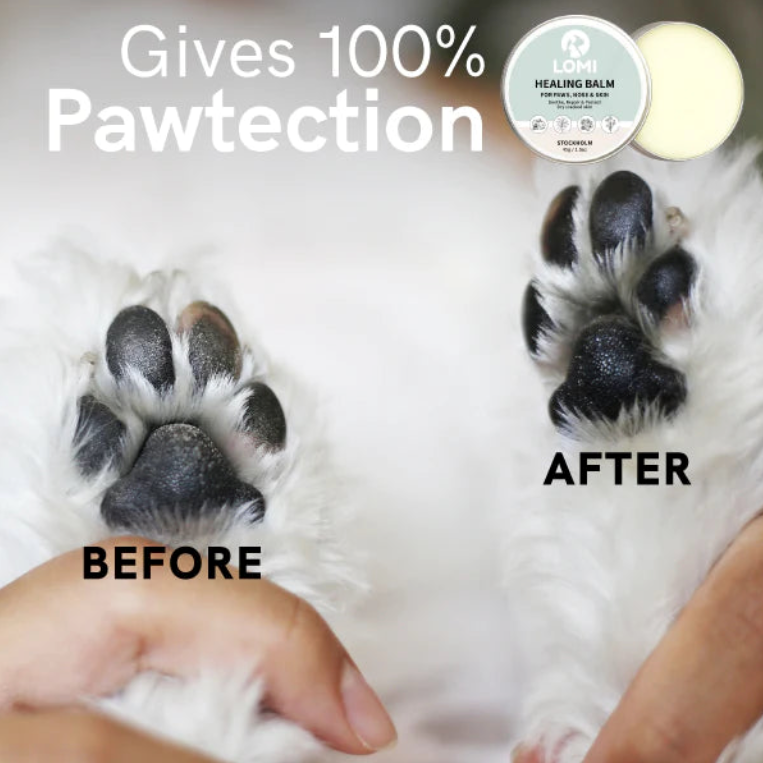 Dog-with-a-mission-healing-balm-healthy-paws-for-skin-irritations-minor-cuts-cats-dogs