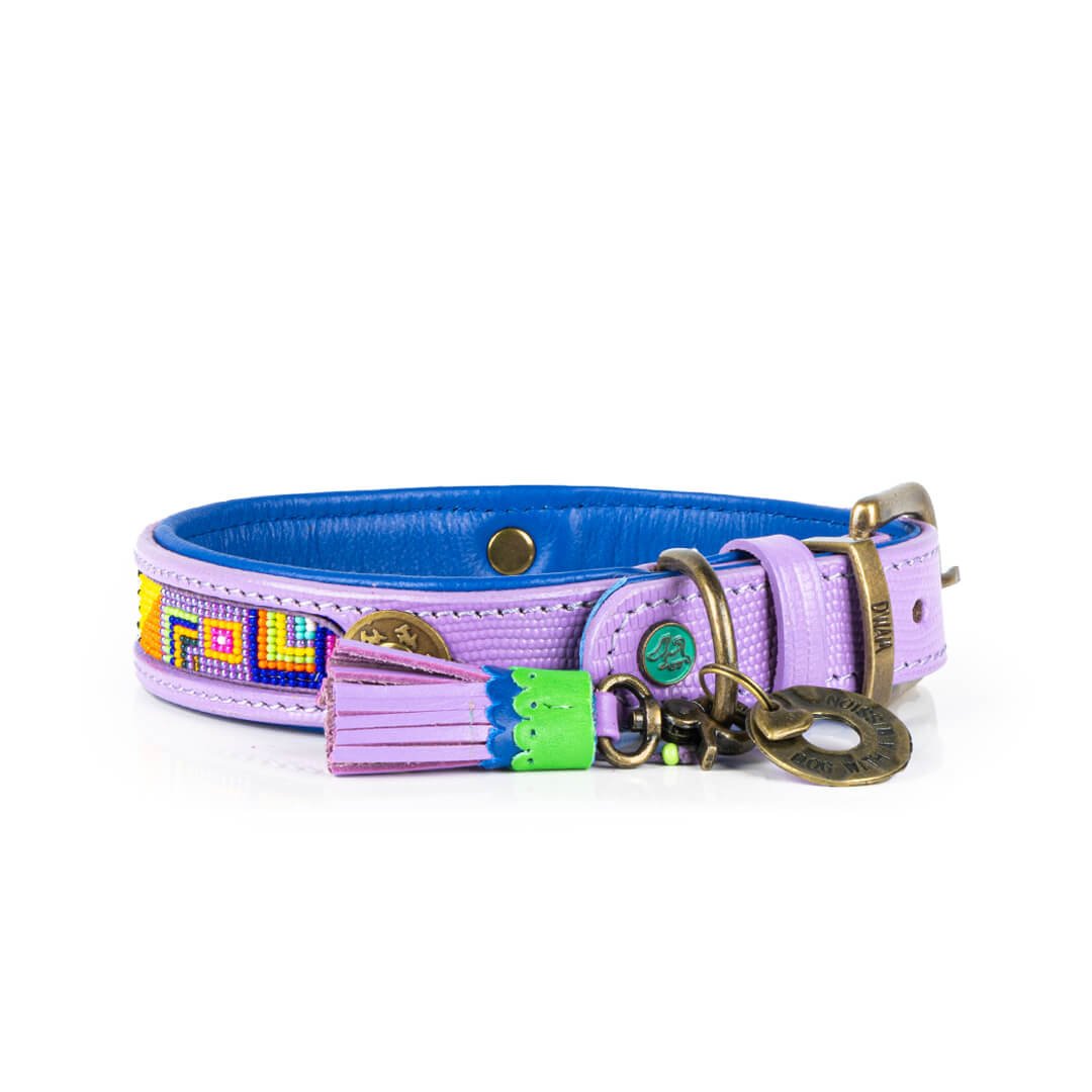 Dog-with-a-mission-honden-halsband-paars-uniek-leer-colorpop