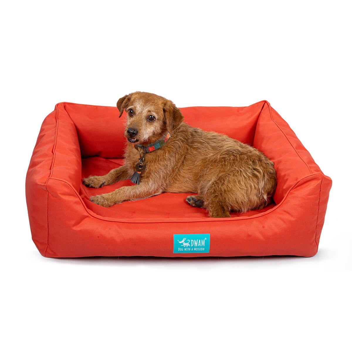 Dog-with-a-mission-honden-mand-kleurrijk-waterproof-Booster-Coral