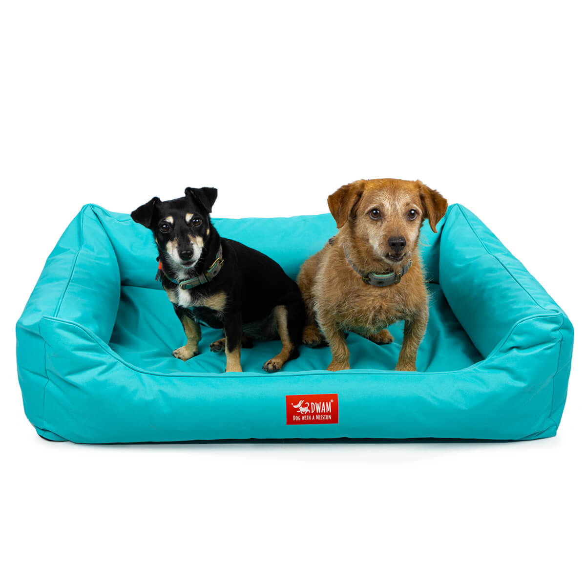 Dog-with-a-mission-honden-mand--waterproof-Booster-aqua