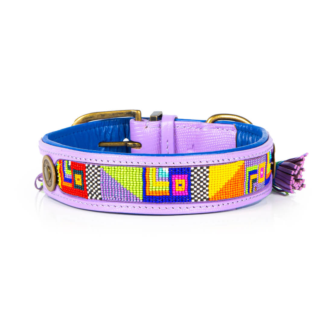 Dog-with-a-mission-hondenhalsband-kleurrijk-paars-colorpop