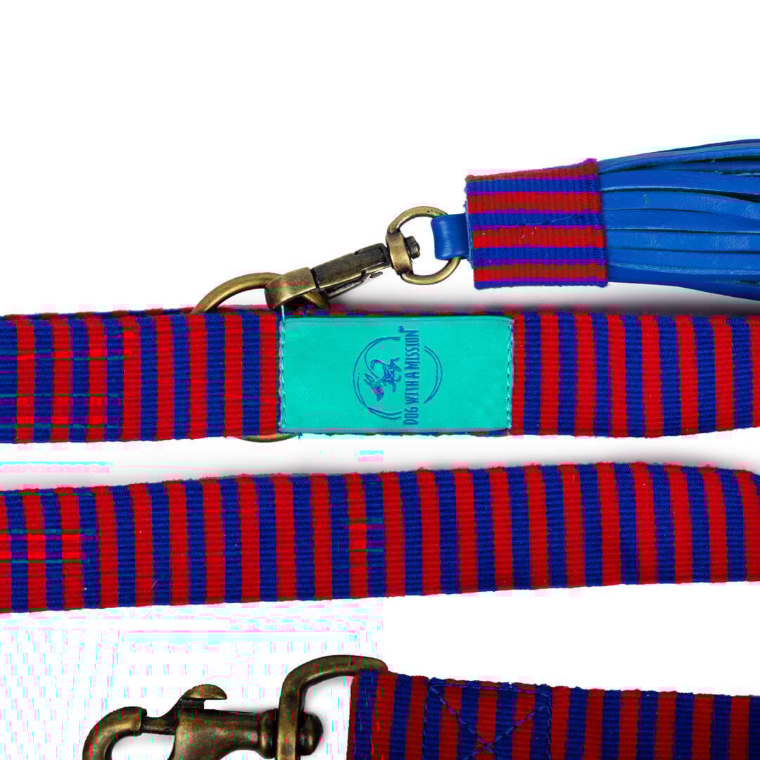 Dog-with-a-mission-hondenriem-gestreept-zacht-mr-clooney