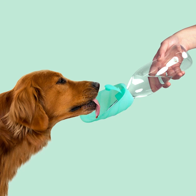 Dog-with-a-mission-leau-distributeur-boteille-turquoise