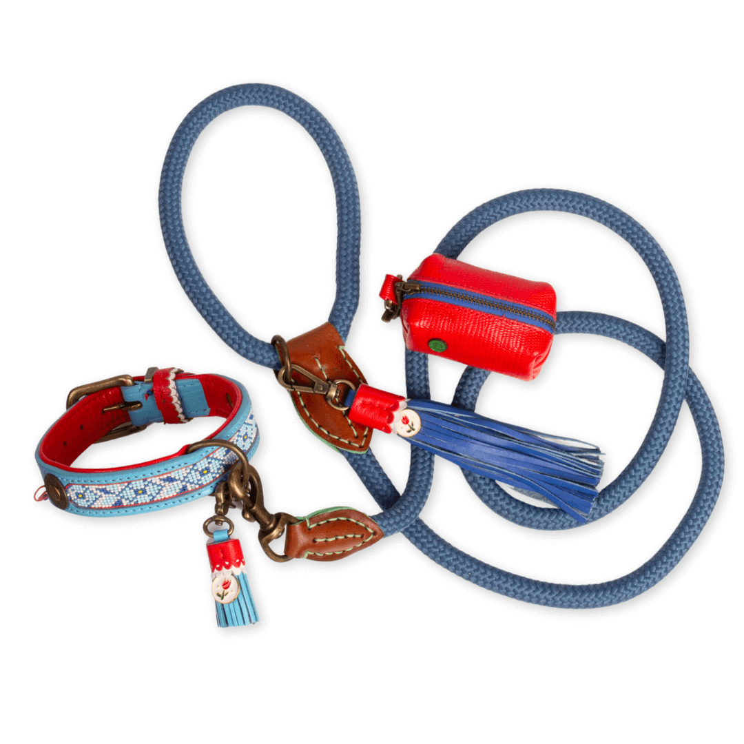 Dog-with-a-mission-neu-kollektion-dutch-design-farben