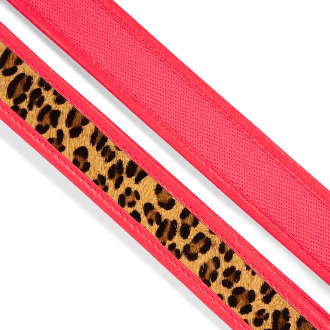 DOG-WITH-A-MISSION-tashengsel-MIAMI_SPICE