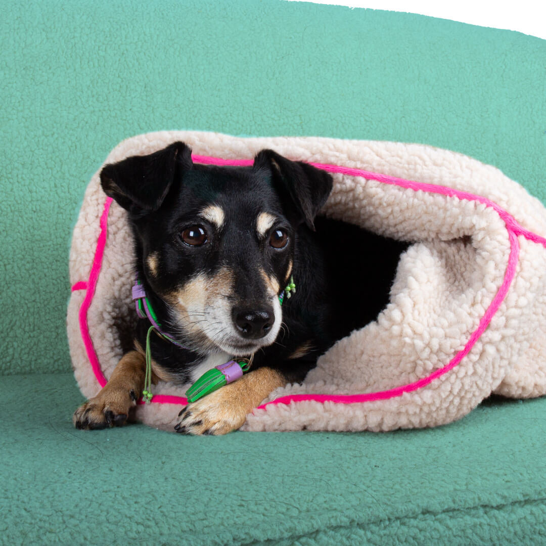 Dog-with-a-mission-Teddy-Dream-Pink-Zacht-slaapzakje-honden