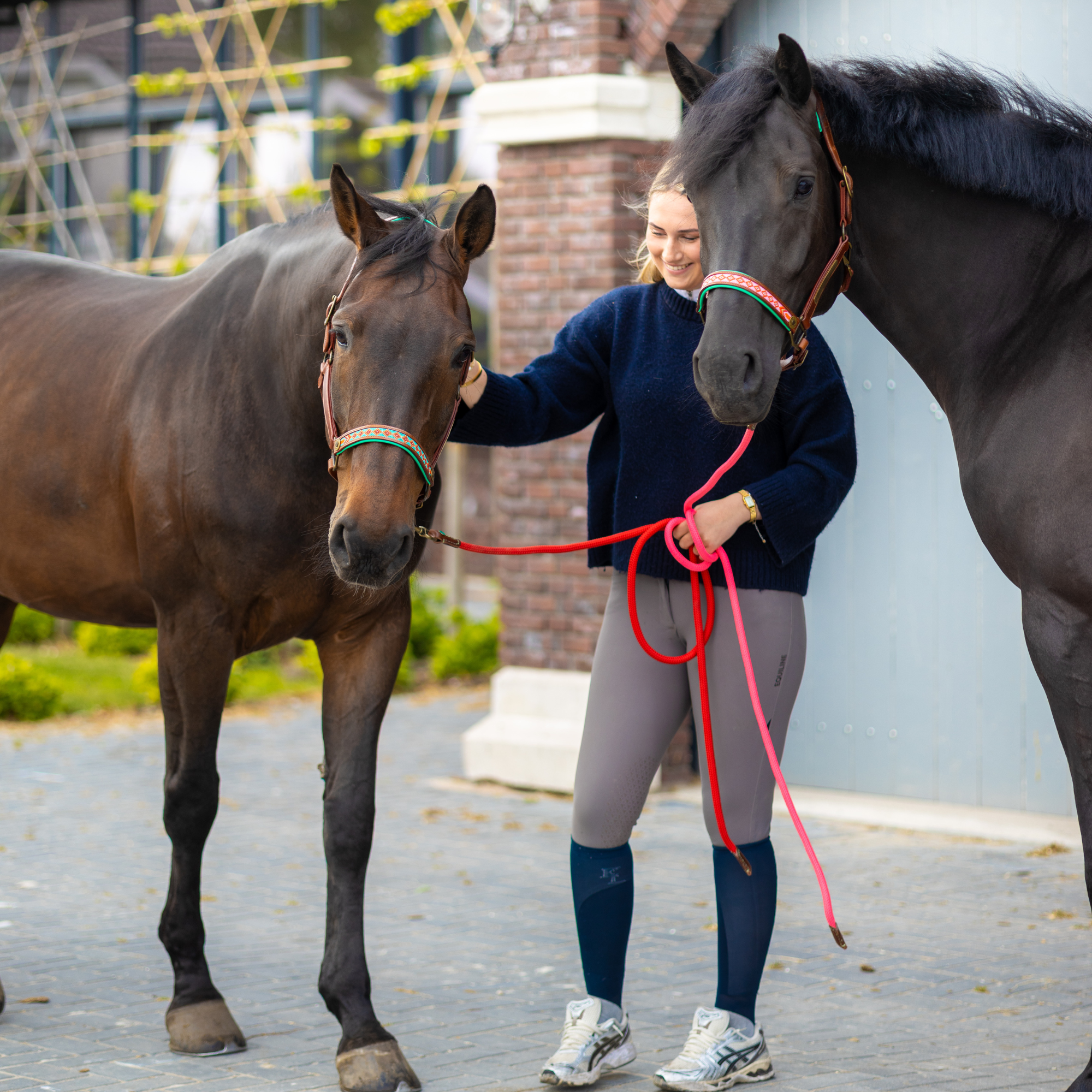 Woman in navy outfit with dark horse wearing Dog with a Mission Paddy Lee halter with turquoise and red woven noseband and red lead rope, urban stable setting