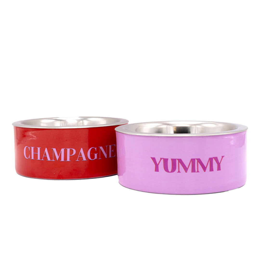 Dog-with-a-mission-Yummy-dog-bowl-champagne
