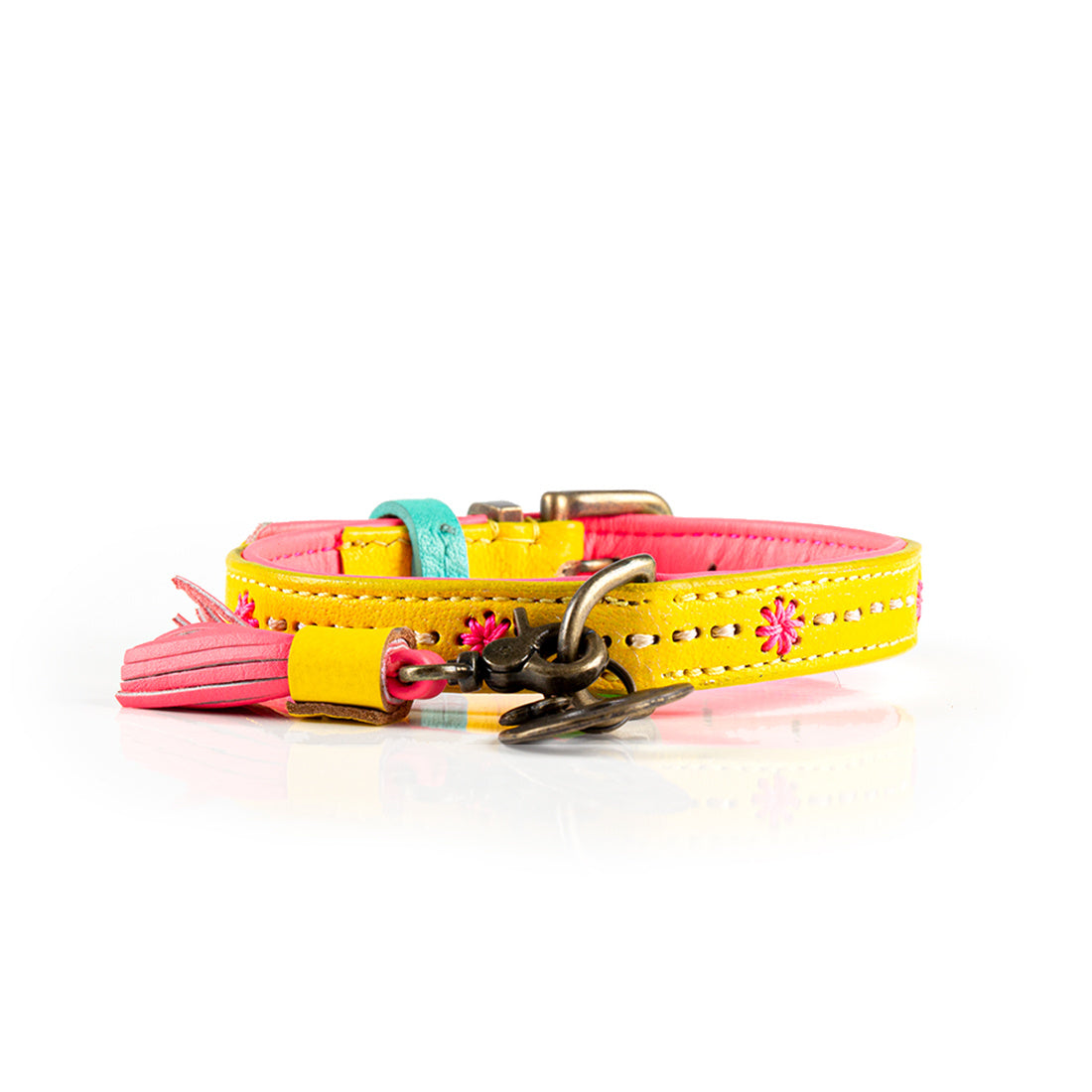 Dogwithamission_halsband-SS21_URBAN-JESSY-S1-2021-LS