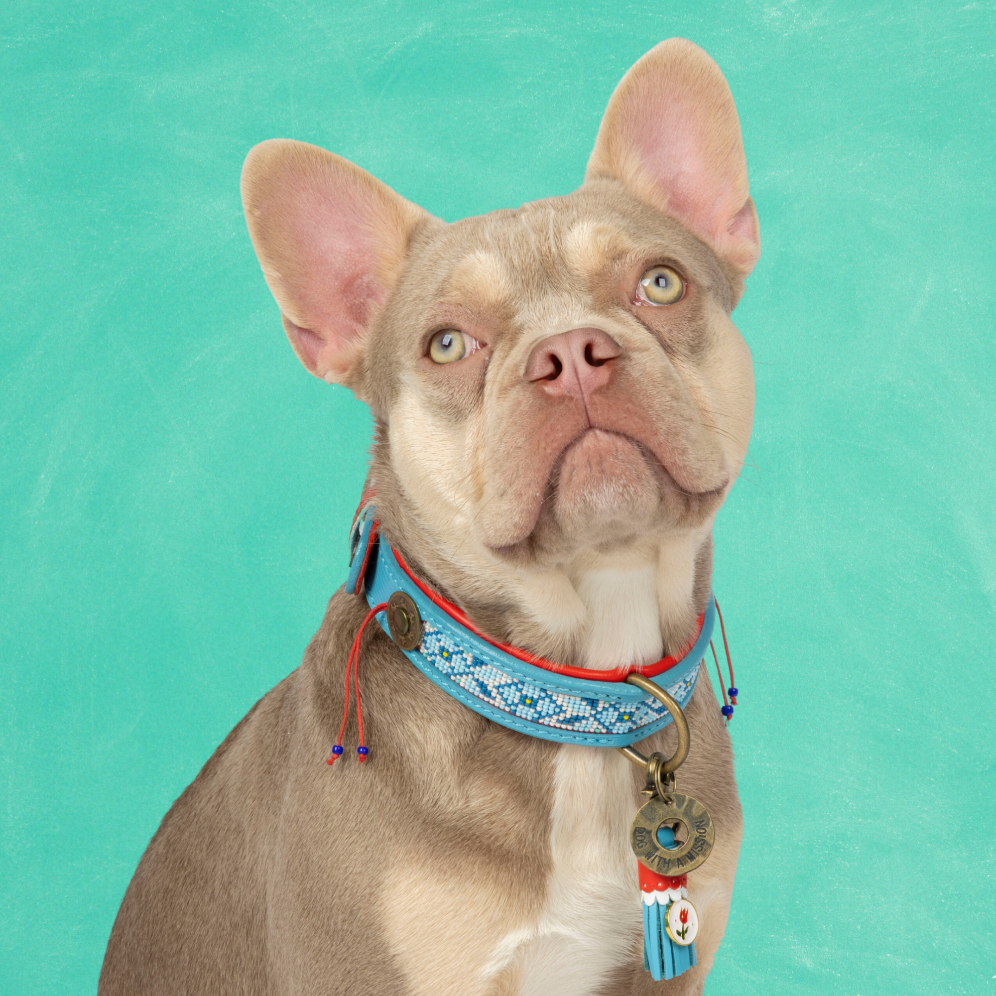 Dutchie Hondenhalsband M (Halsomvang  32-39 cm / 2,5 cm)