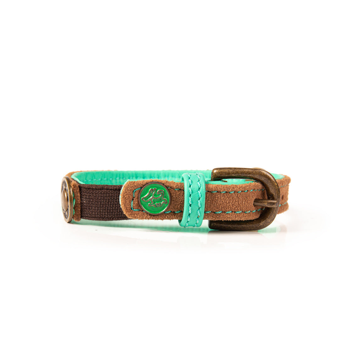 DWAM_Catcollar-Tommy-2