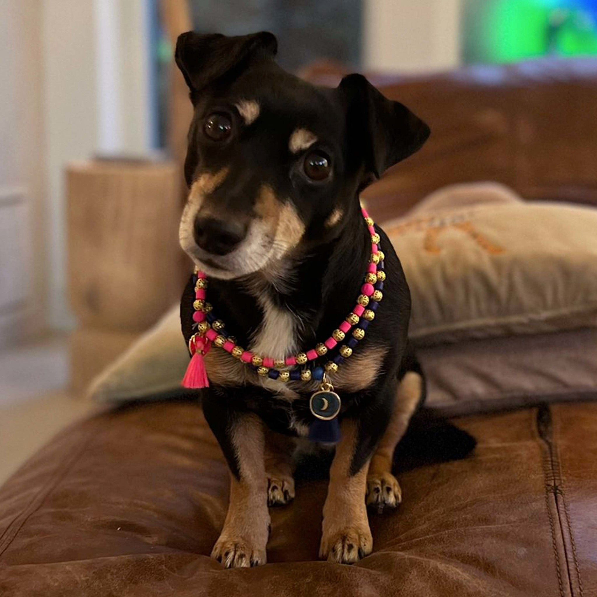 DWAM-CINDY_CHRISSY-NECKLACE-TEDDY