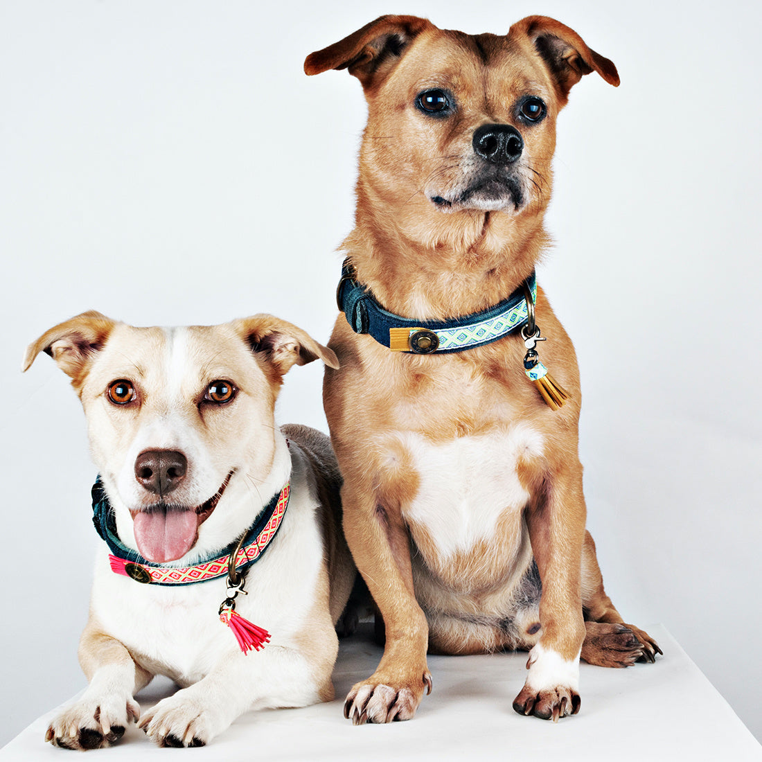 DWAM_COLLAR_DENIM-JUDYBLUE-DOG2