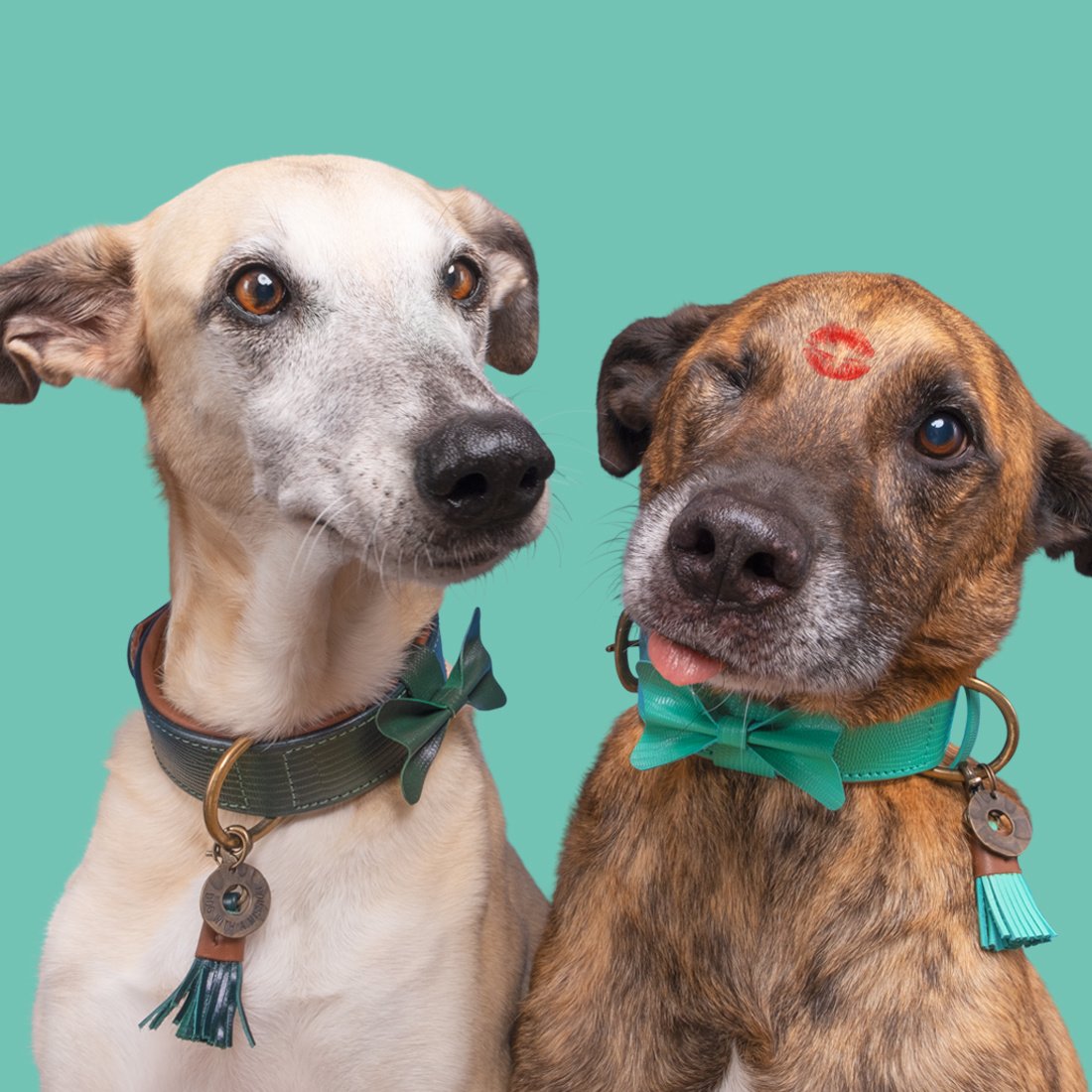 DWAM_FW21-CITYC-PHOTOSHOOT-BOOMER-2